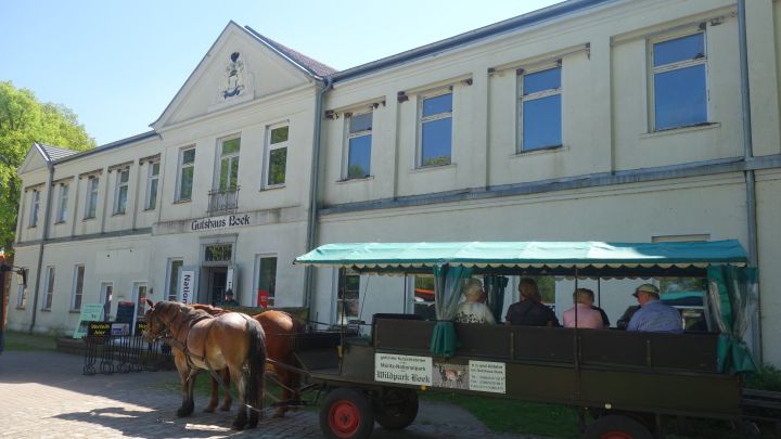 Gutshaus Boek 