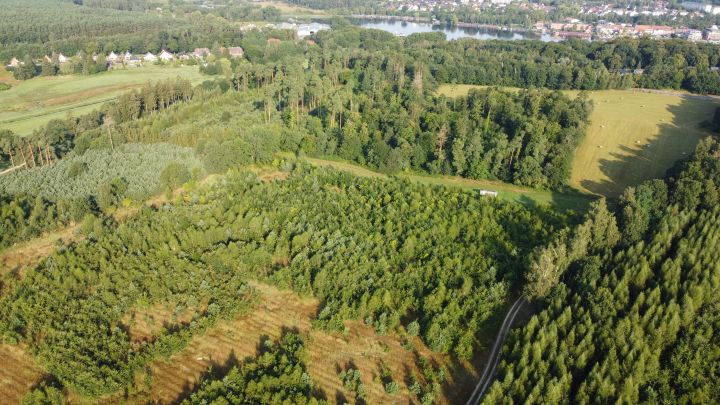Klimawald Fleesensee Luftbild Klimawald Fleesensee Luftbild