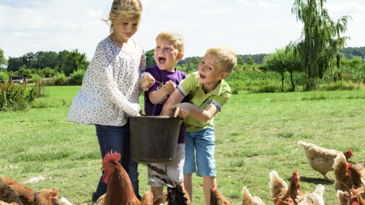 Lütte Meierie Lütte Meierie