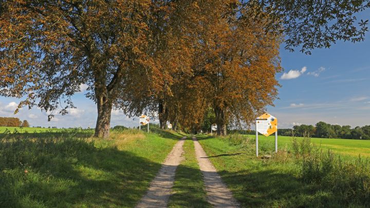 Bienenlehrpfad im Land Fleesensee_2