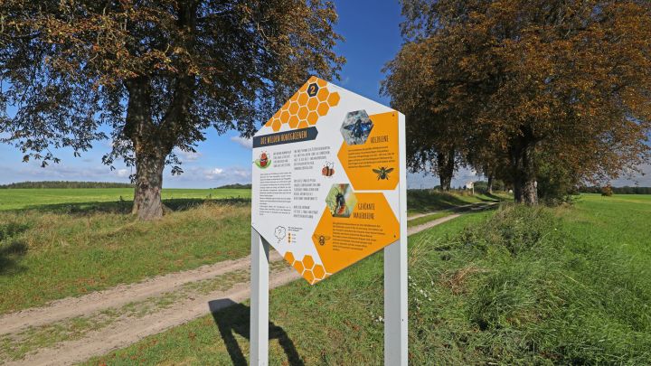 Bienenlehrpfad im Land Fleesensee_3