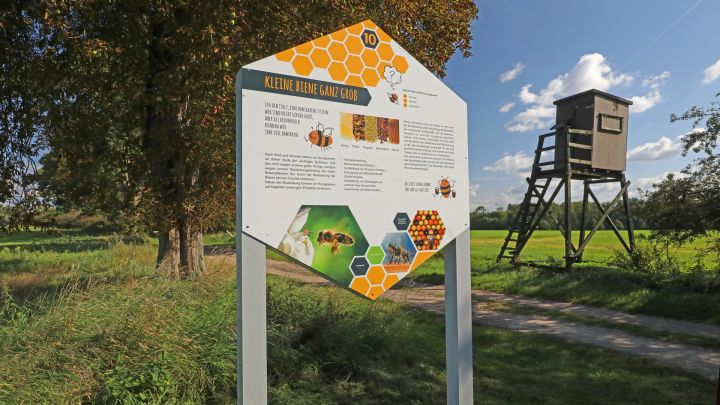 Bienenlehrpfad im Land Fleesensee_5