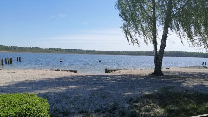 Strandbereich am Campingplatz C91 Jabel