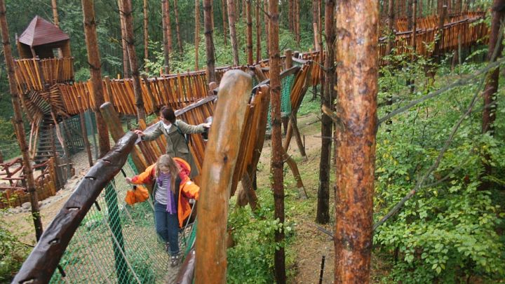 Auf abenteuerlichen Kletterpfaden geht es durch die Raubtier-WG Auf abenteuerlichen Kletterpfaden geht es durch die Raubtier-WG