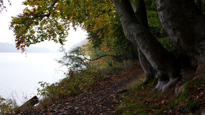 Rundweg Schmaler Luzin, Mecklenburgische Seenplatte