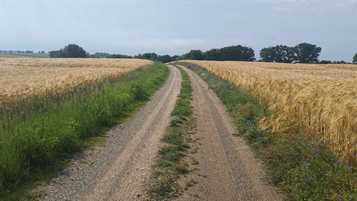 Wegbeschaffenheit und Blick auf die Landschaft auf der Radtour Gielow - Liepen - Faulenrost - Zettemin